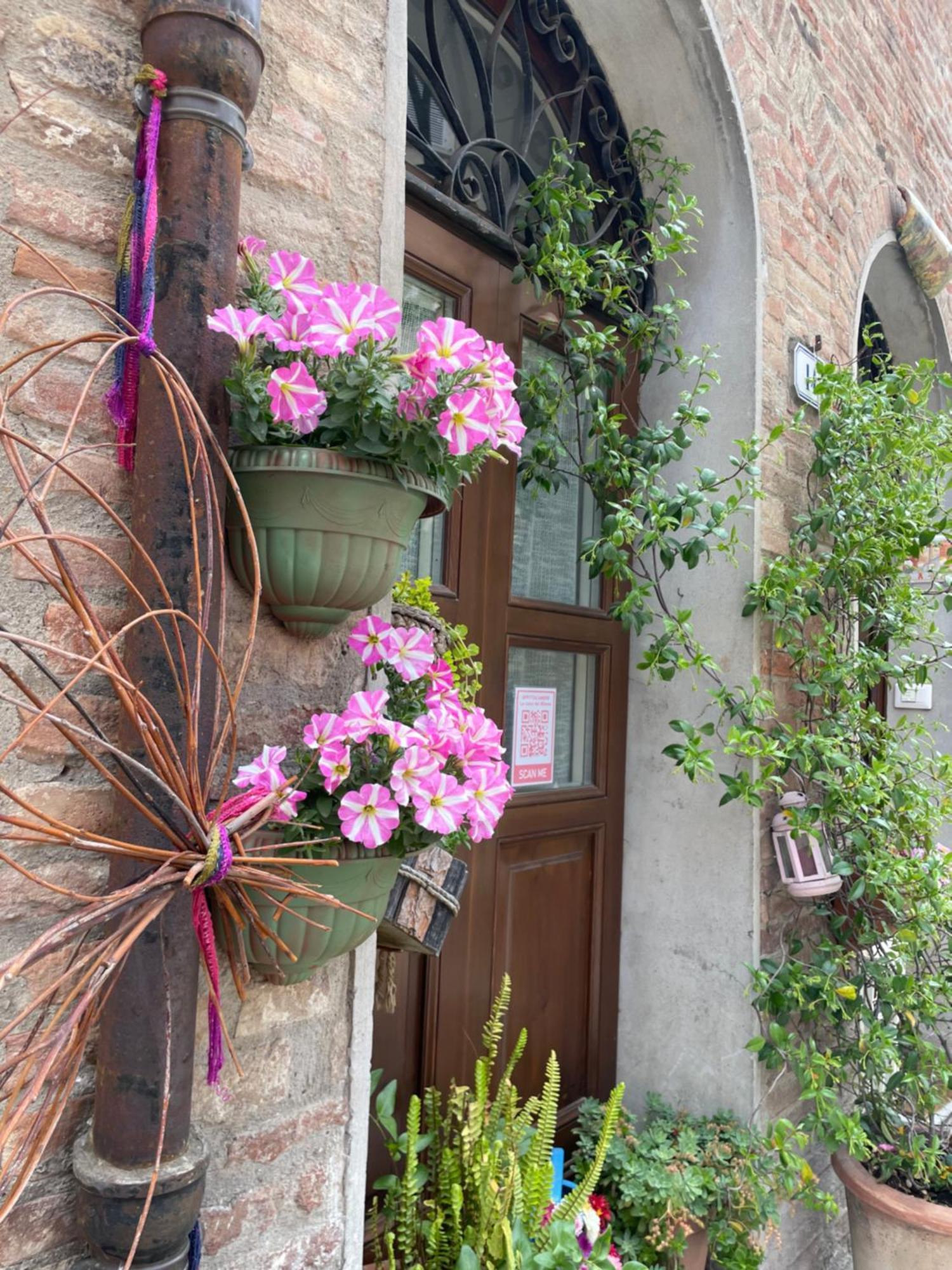 La Casa Dei Mimmi 호텔 시타델라피에베 외부 사진